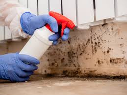 Best Commercial Mold Inspection  in Bethel, WA